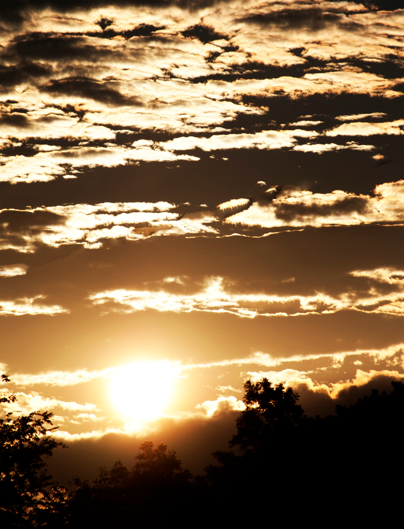 Illustration for article titled 166 Sunrises and Sunsets